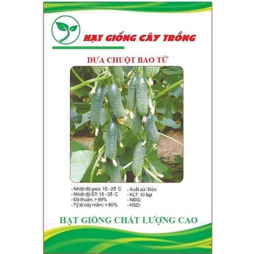 Hạt giống dưa chuột bao tử CT76 - Gói 10 hạt