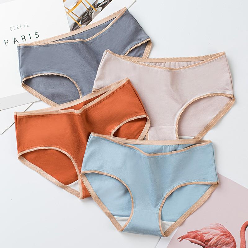 Quần Lót Cotton Sợi Bông Đa Sắc Cao Cấp