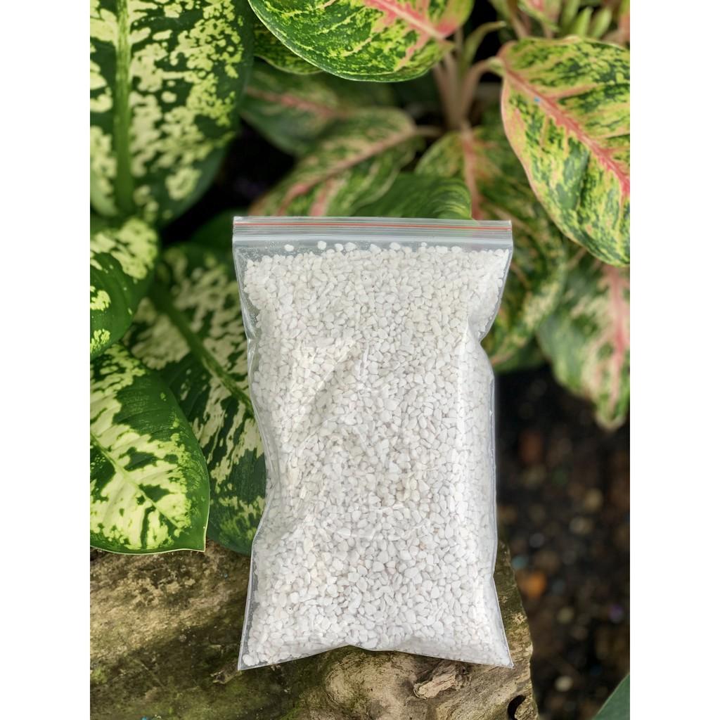 Đá perlite túi nhỏ 100gr tiện lợi - trồng sen đá