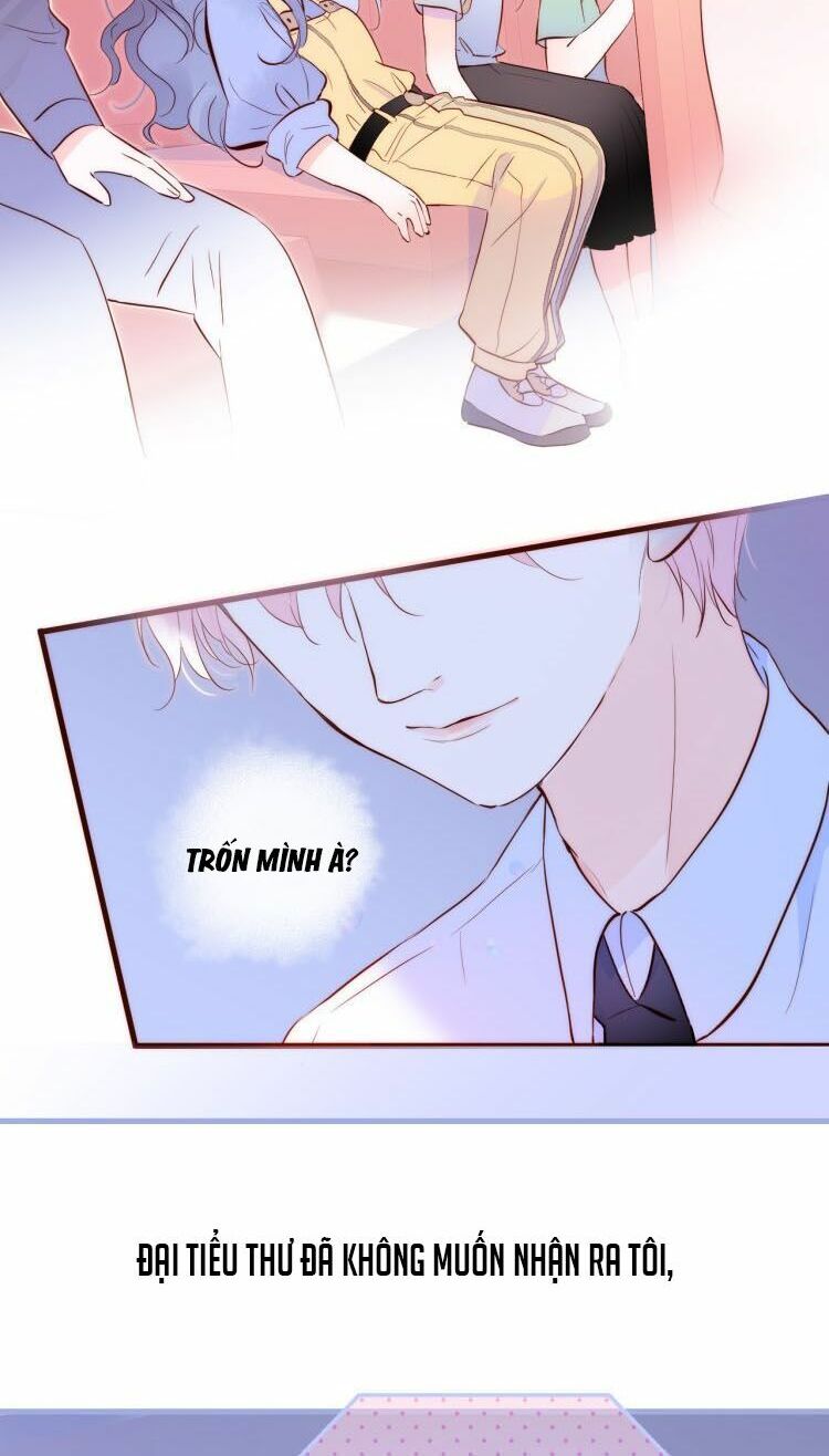 hoa bỏ chạy với nhím rồi chapter 1 71