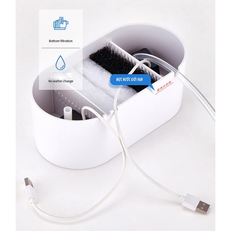 Bể cá thủy sinh mini để bàn làm việc 05
