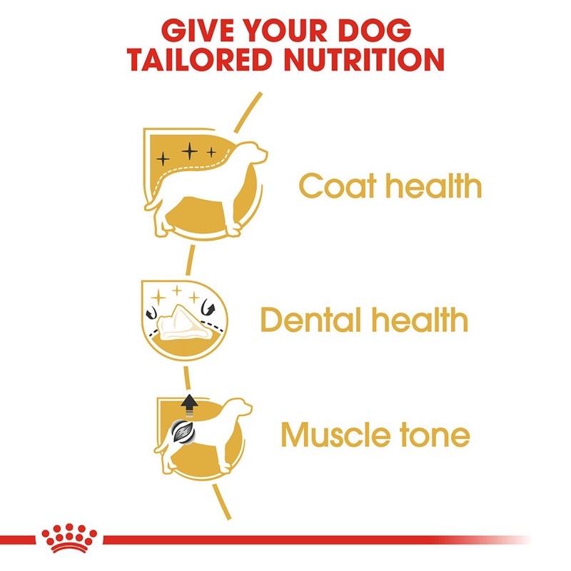 Thức ăn- Hạt khô Royal canin dành riêng cho chó poodle trưởng thành, giúp hỗ trợ sức khỏe của hệ thống miễn dịch