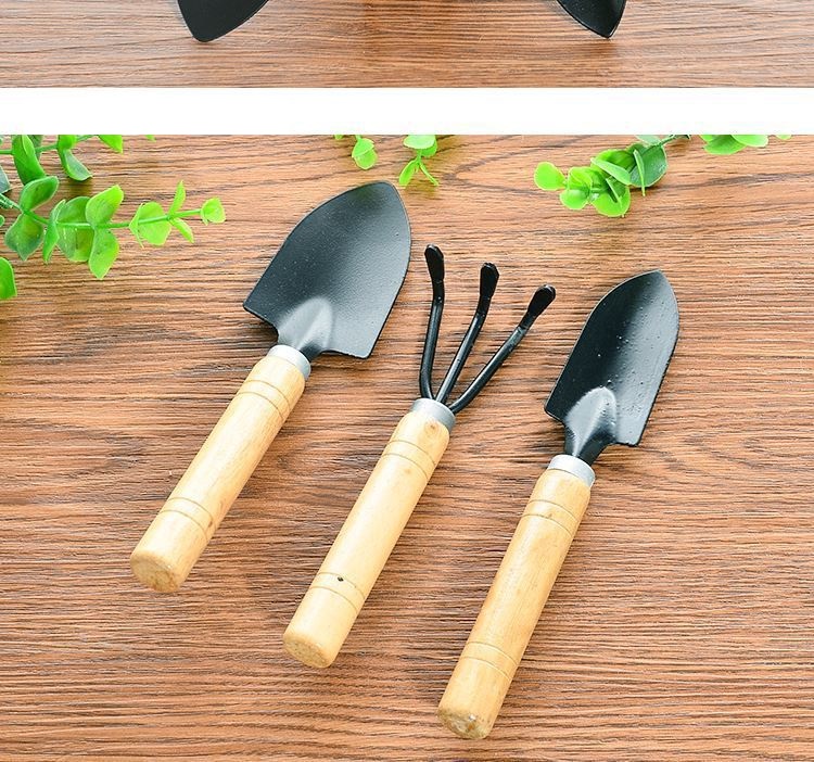 Dụng Cụ Làm Vườn Mini Trồng Hoa, Sen Đá, Xương Rồng - Bộ 3 Món Size Trung và Mini, Cán Gỗ Nhỏ Gọn Cho Gia Đình