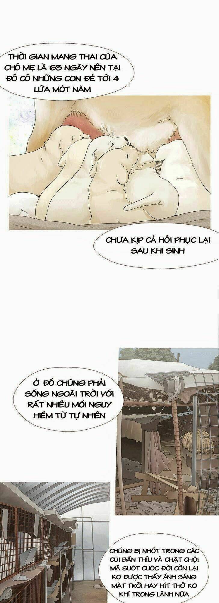 trái tim của một người bạn chapter 16 10