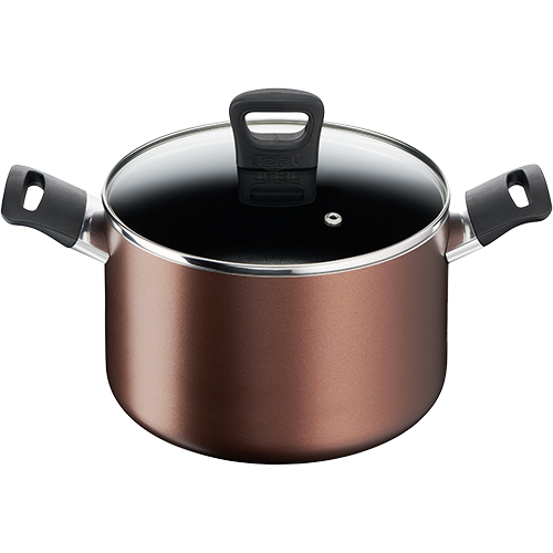 Nồi chống dính nắp kính Tefal Day By Day (20cm/22cm) - Hàng chính hãng