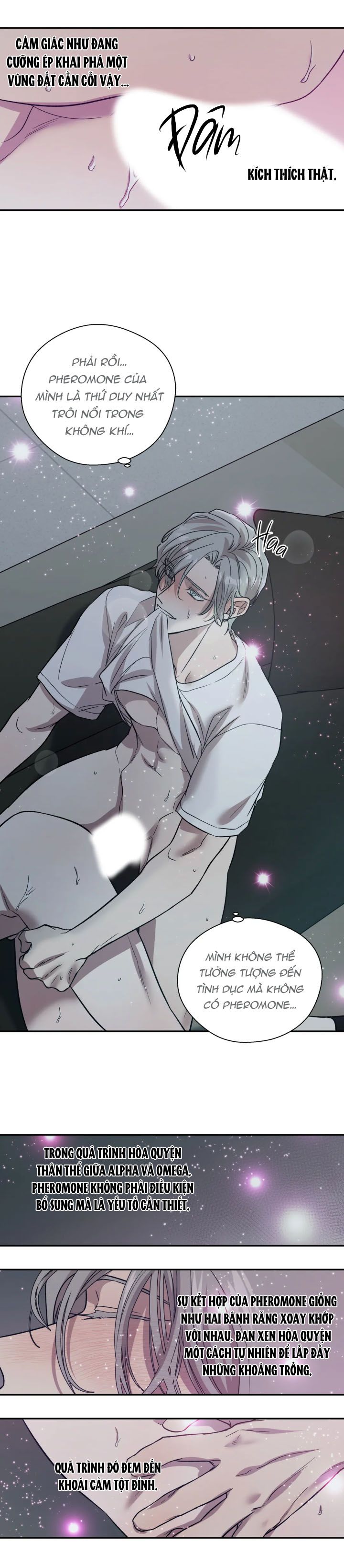 ám ảnh pheromone chapter 13 15
