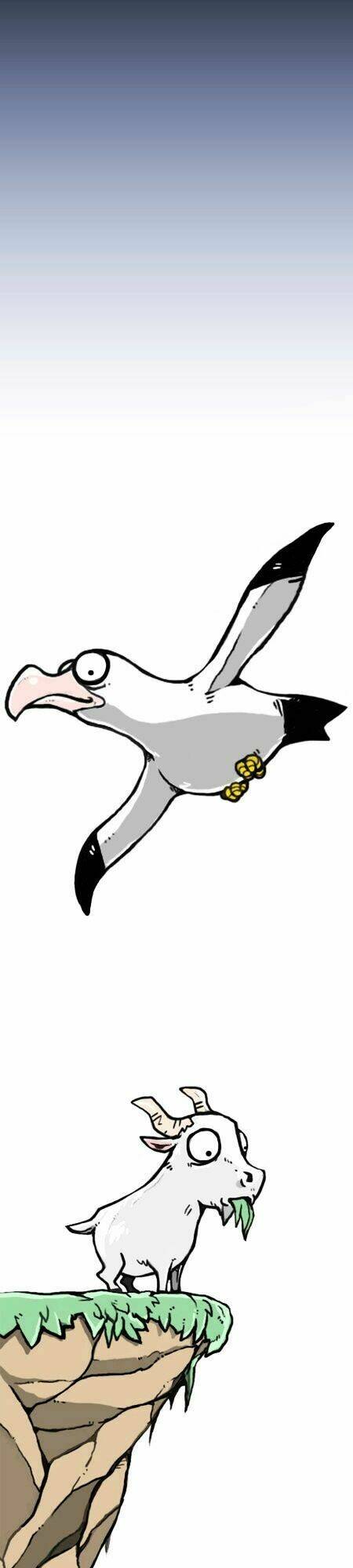 earth, human, and animal chapter 13 2