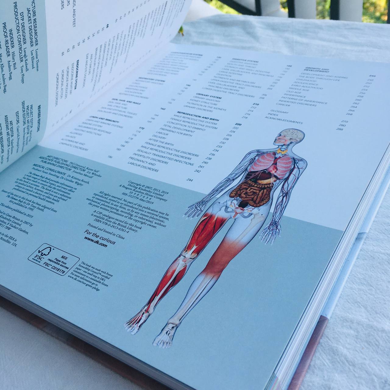 DK books | The Human Body Book