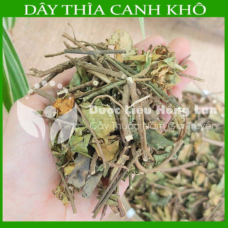 Dây Thìa Canh khô sạch đóng gói 1 ký