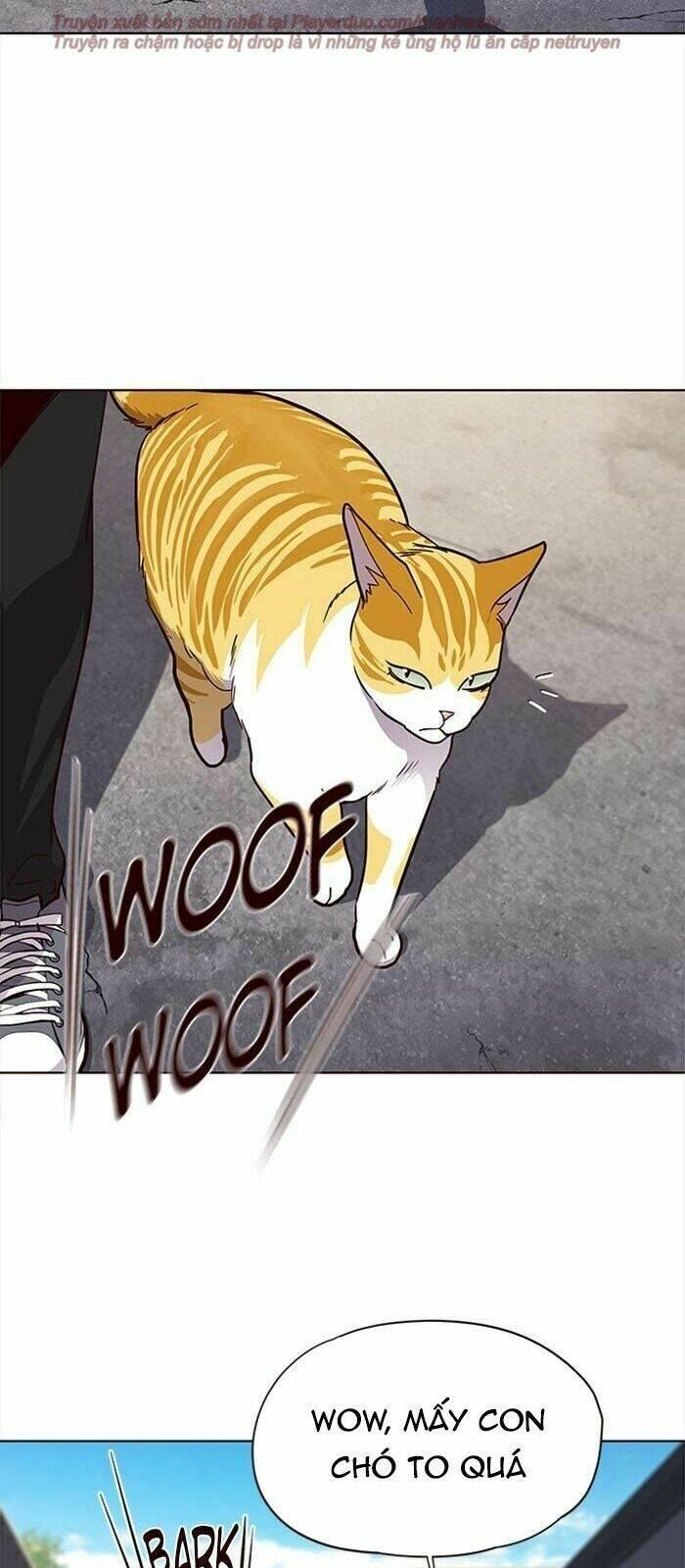 biến thân thành mèo chapter 36 104
