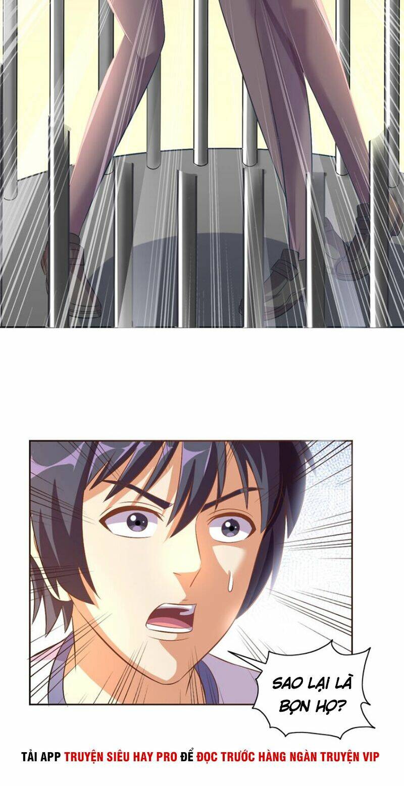 chín năm nghĩa vụ tu chân chapter 33 44