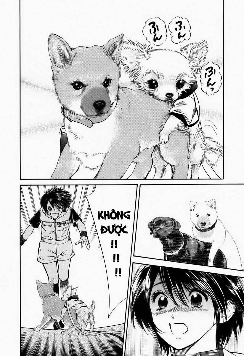 cô nàng yêu chó chapter 35 18