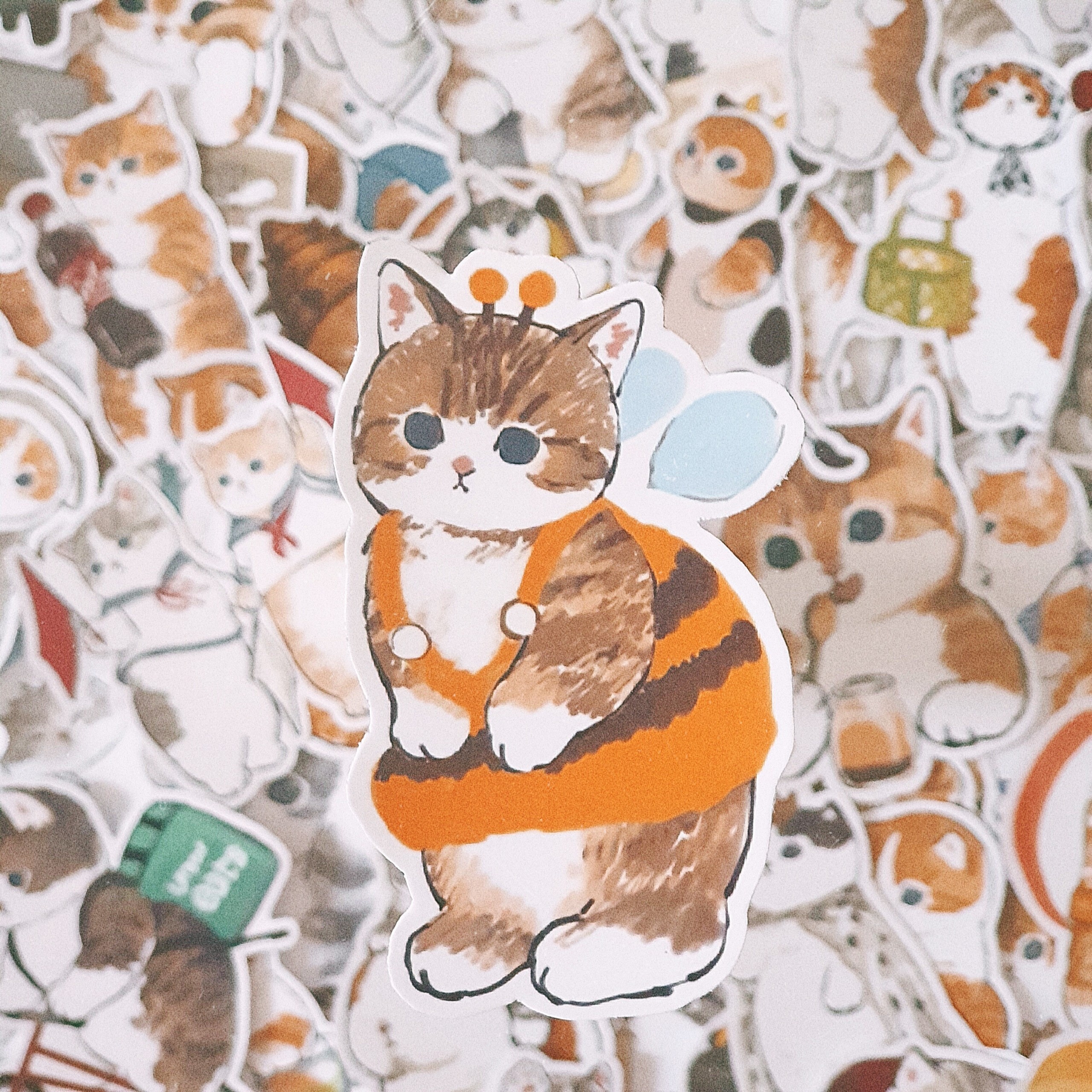 Bộ sticker chống thấm nước trang trí mũ bảo hiểm, đàn, guitar, ukulele, điện thoại laptop, dán sticker macbook sticker chủ đề mèo cute kitter