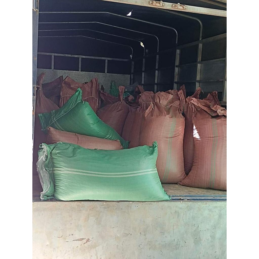 CÀ PHÊ NHÂN ROBUSTA S14 S16