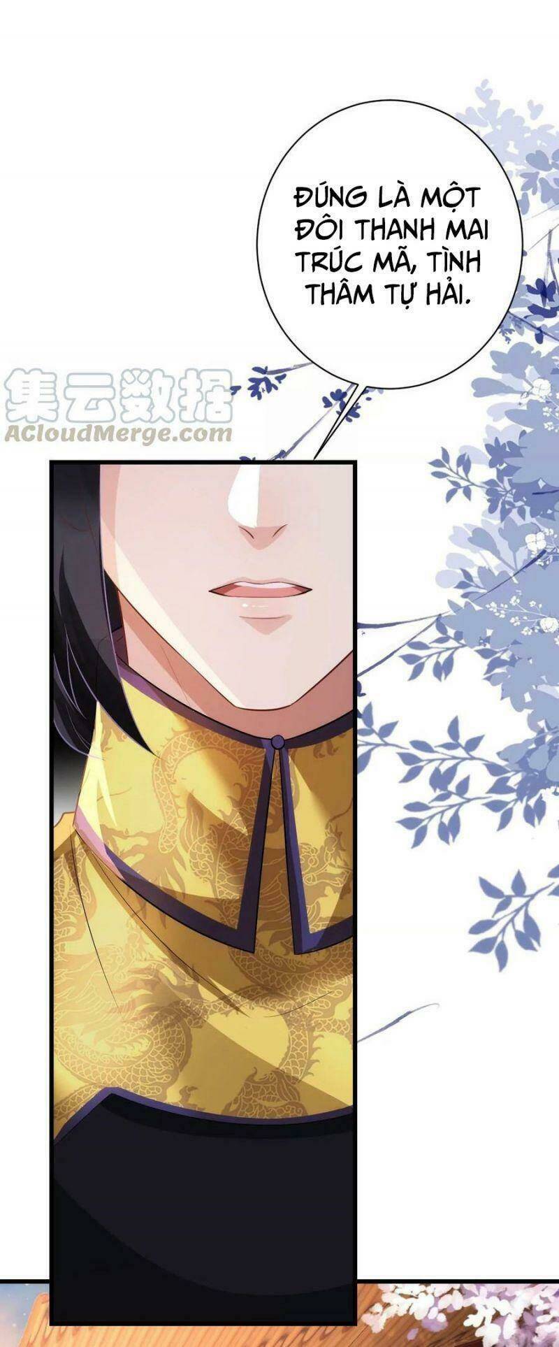 quận chúa vững vàng, thiết lập nhân vật không thể vỡ chapter 78 16