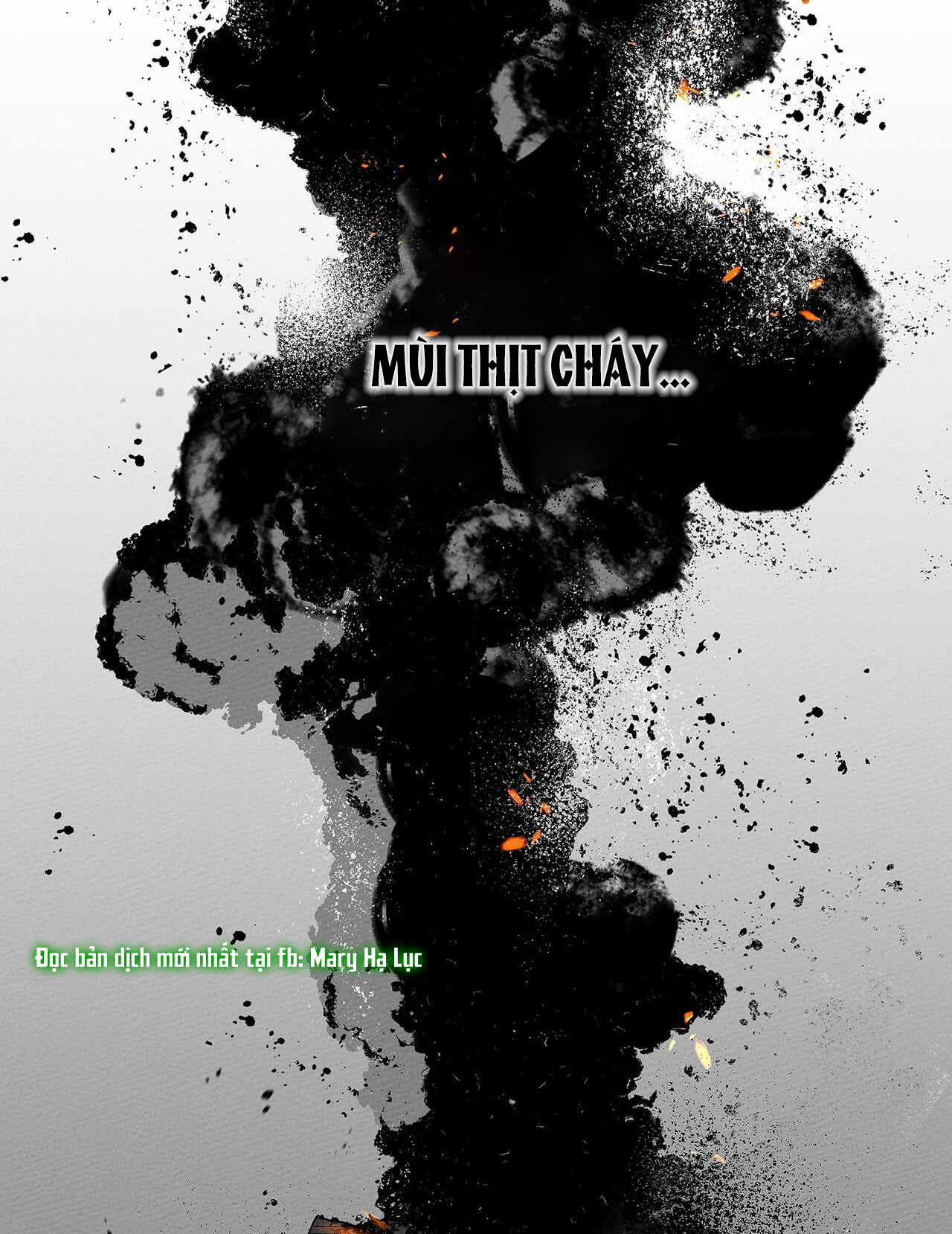 Dưới Bóng Cây Sồi chapter 39 75