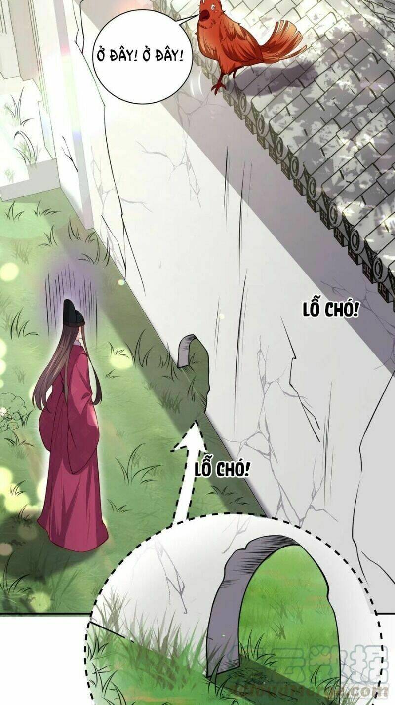 hoạn phi thiên hạ chapter 127 24