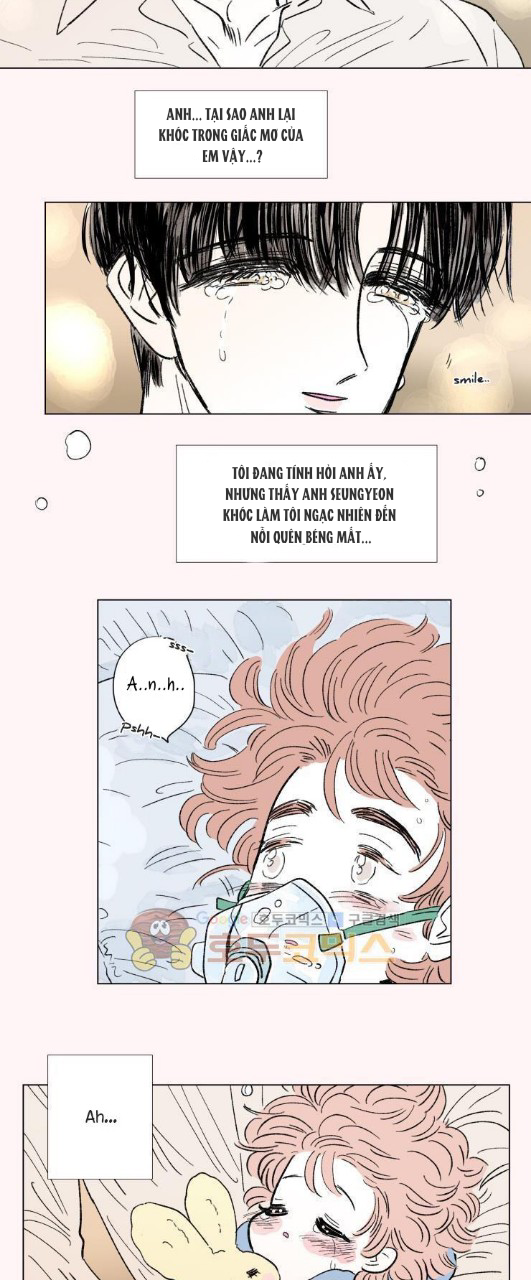 câu chuyện của hosik chapter 77 8