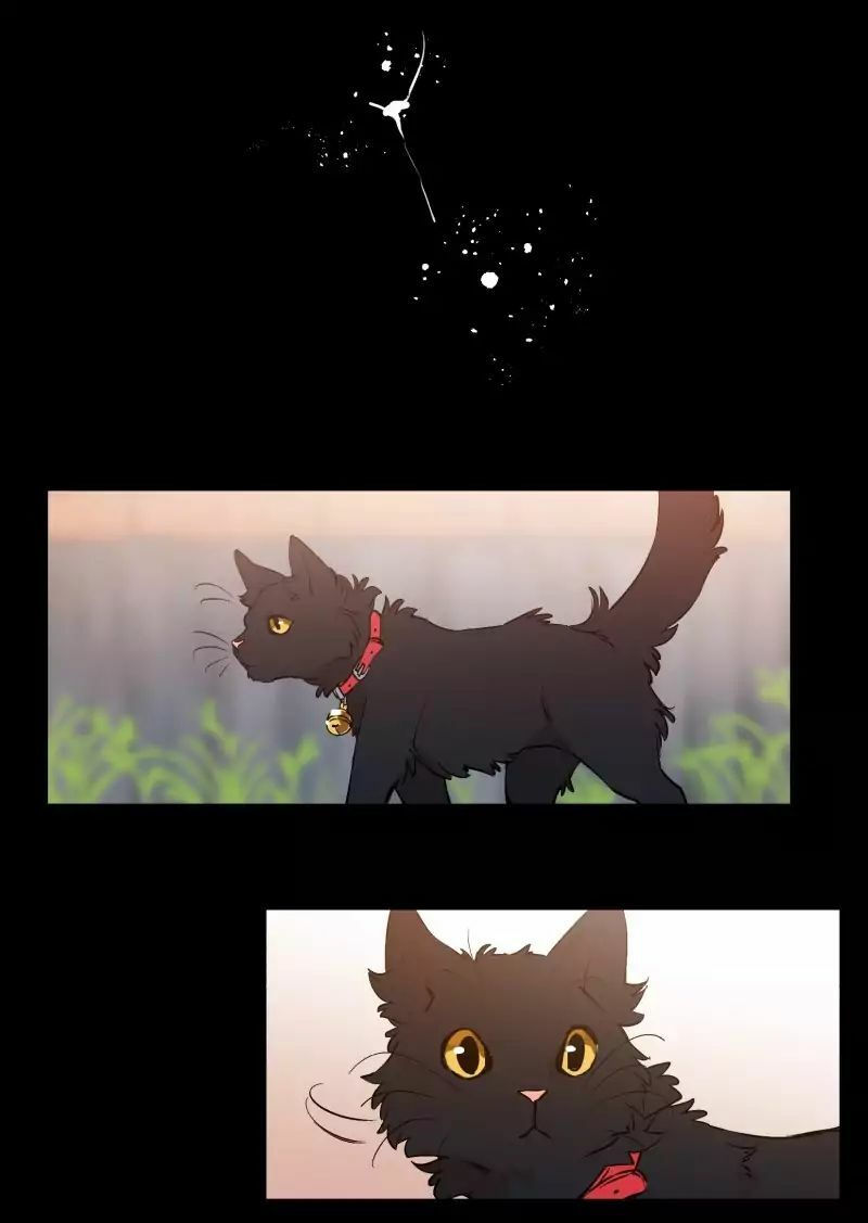 lumine - cội nguồn ánh sáng chapter 37 24