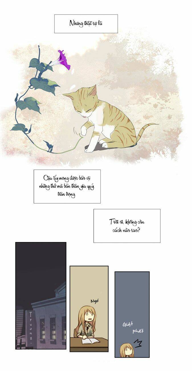 mười chín, hai mươi mốt chapter 10 12