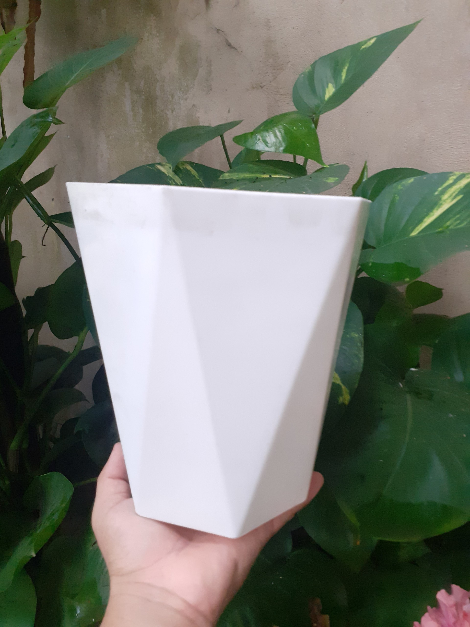 Chậu nhựa lục giác kim cương
