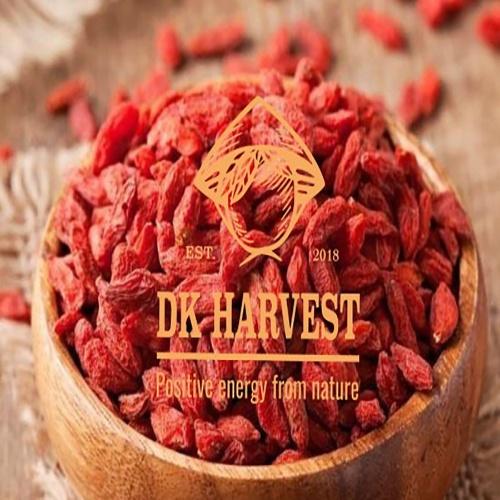 COMBO TIẾT KIỆM - Câu Kỷ Tử 100g &amp; Táo Đỏ Tân Cương Dried Jujube DK Harvest 350g