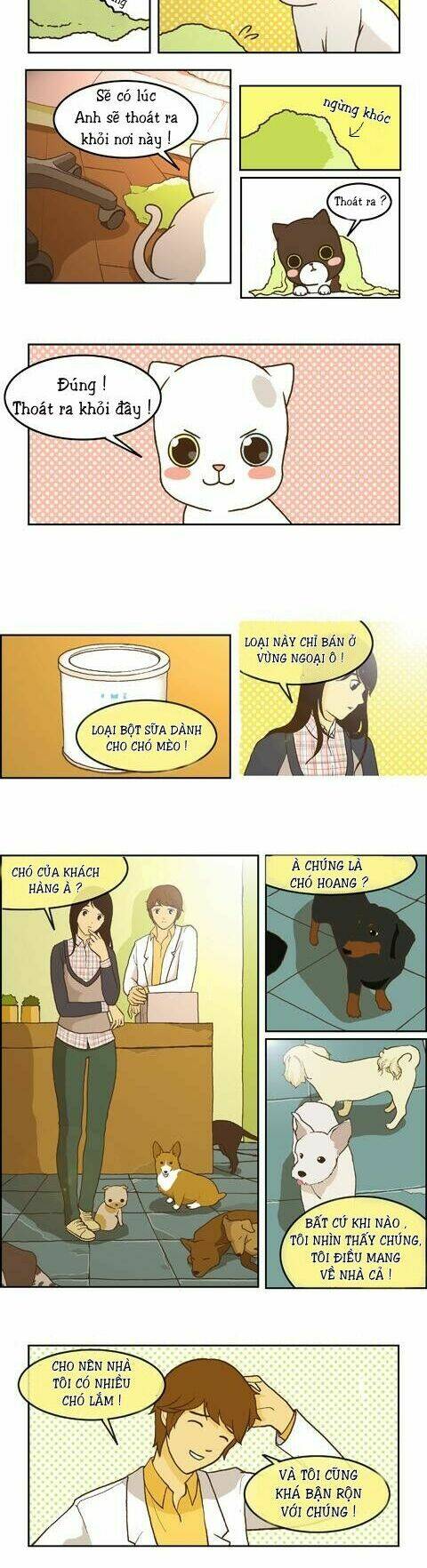 papi nyang chapter 9 3