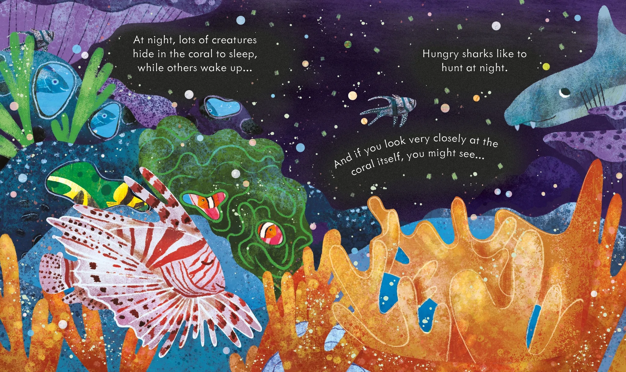 Peep Inside A Coral Reef