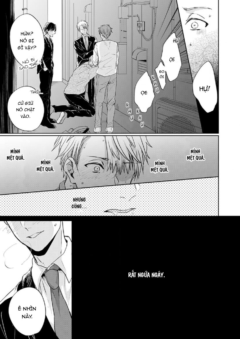 vết cắn tình đầu chapter 1 19