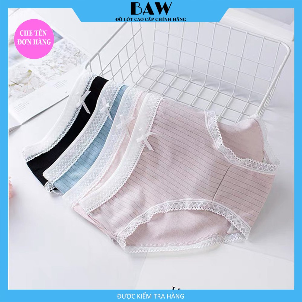Bộ 5 Quần Lót Nữ Cotton găn tăm thương hiệu BAW thấm hút tốt mẫu QLN29