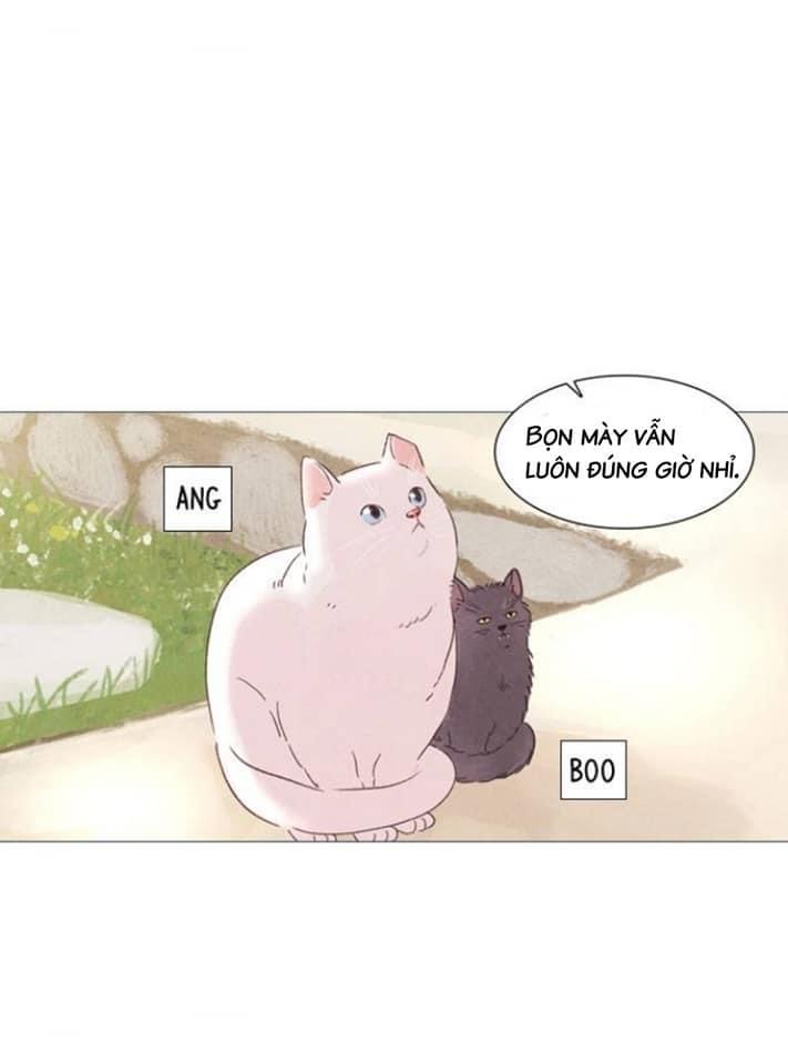 thần bí chapter 2 60