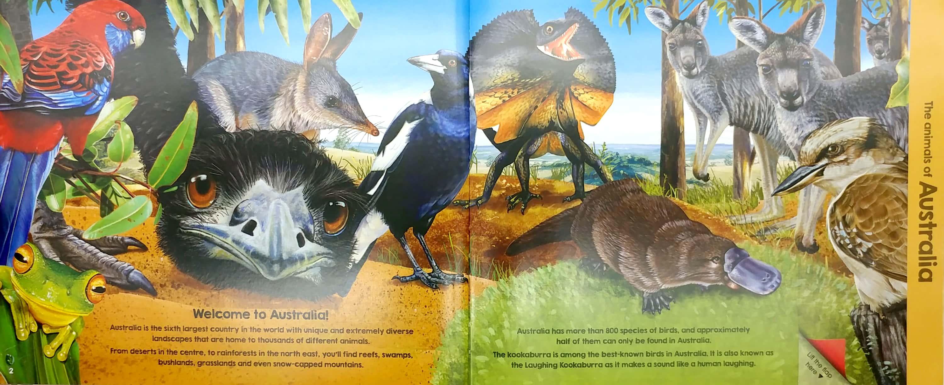 Animals Of The World