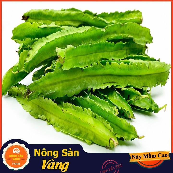 Hạt giống Đậu Rồng ( Gói 10 Gram )