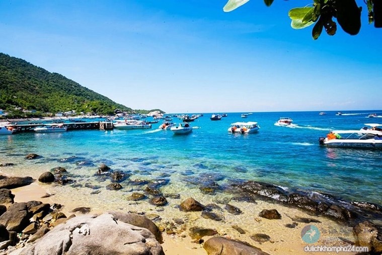 Tour Cù Lao Chàm và lặn ngắm san hô 1 ngày