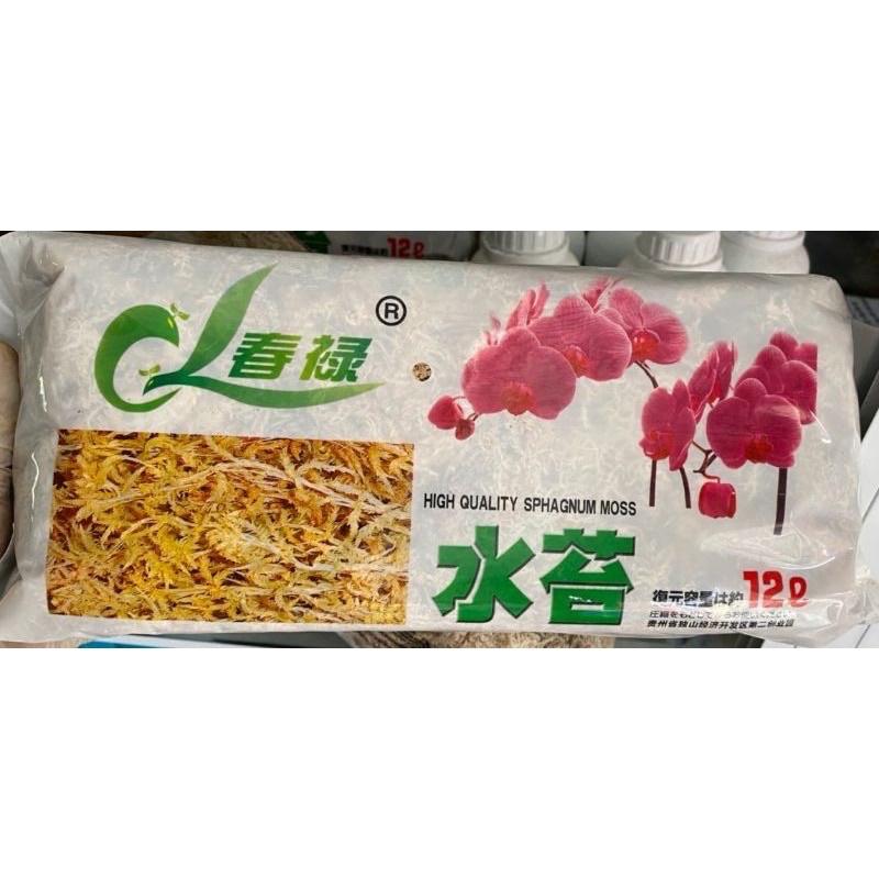 Rêu rừng trồng lan