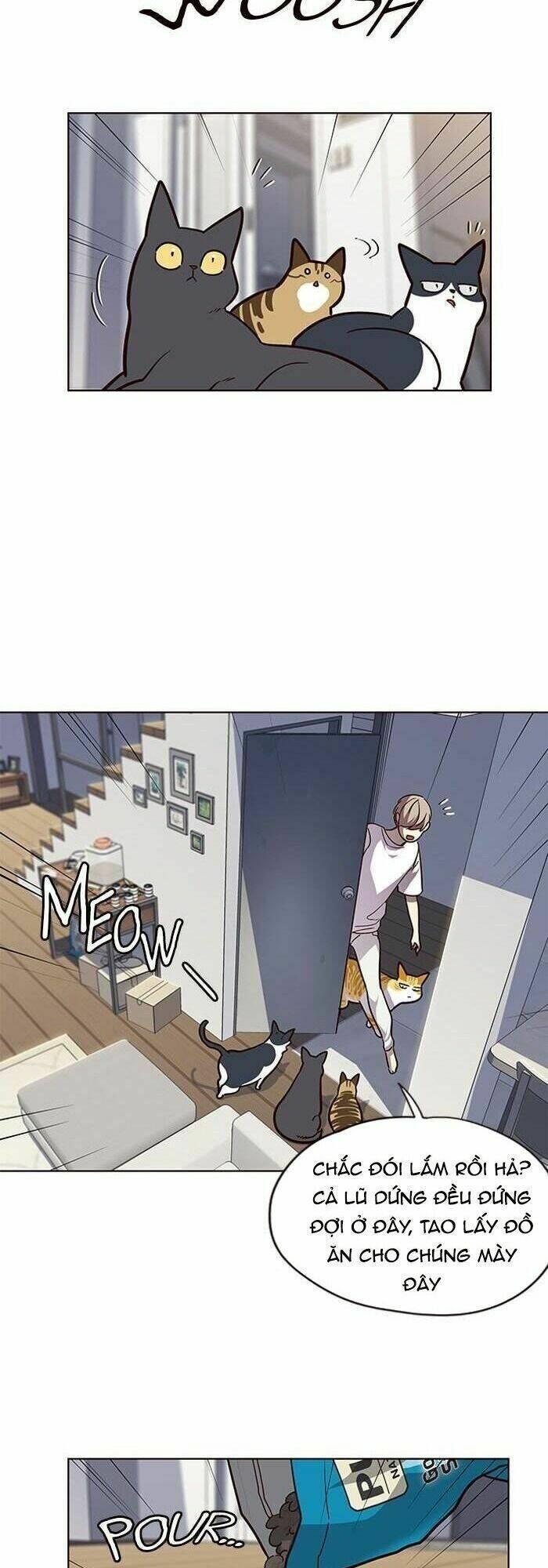 biến thân thành mèo chapter 55 9