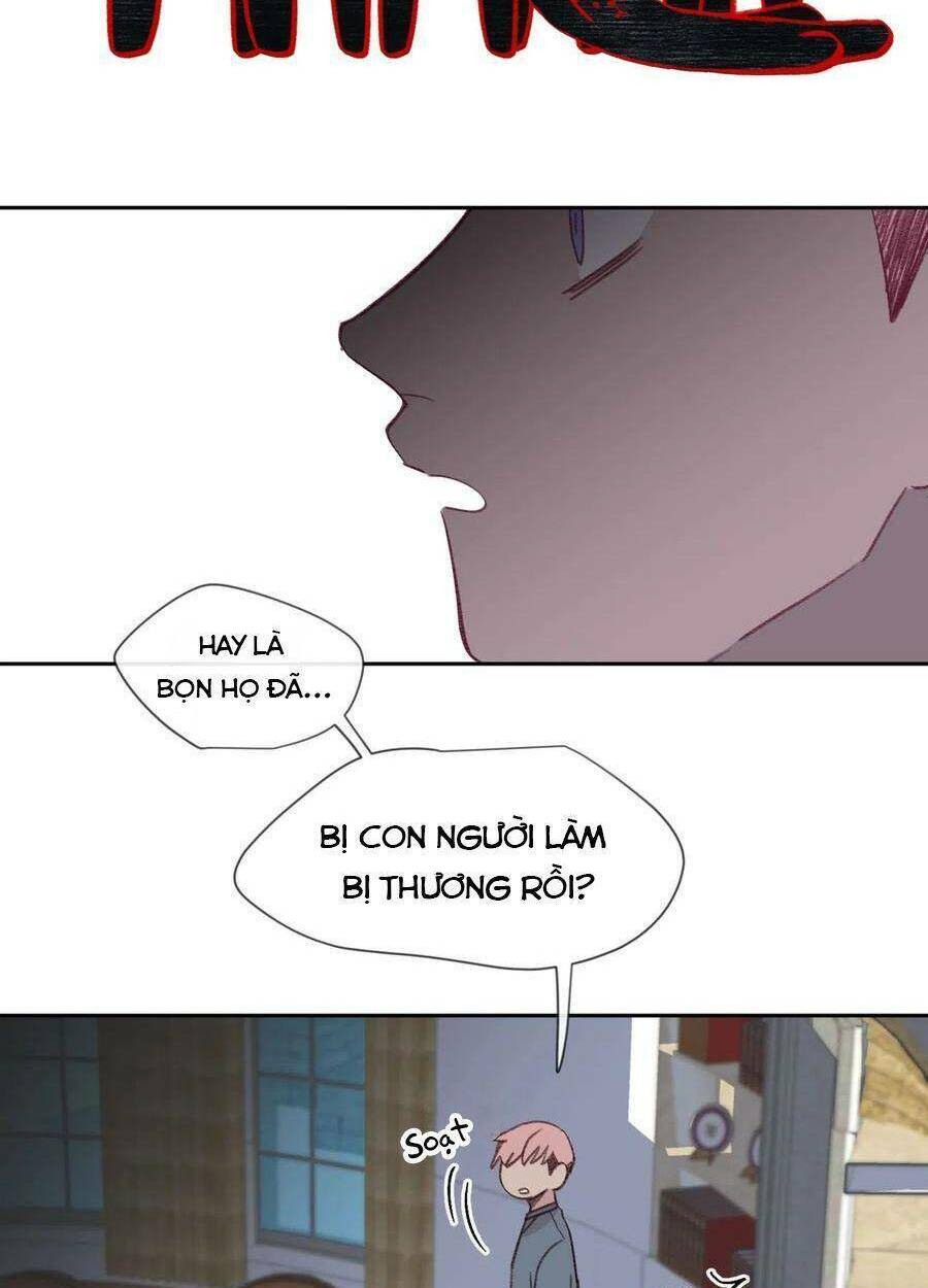 nhật ký nấm ma cô chapter 12 6