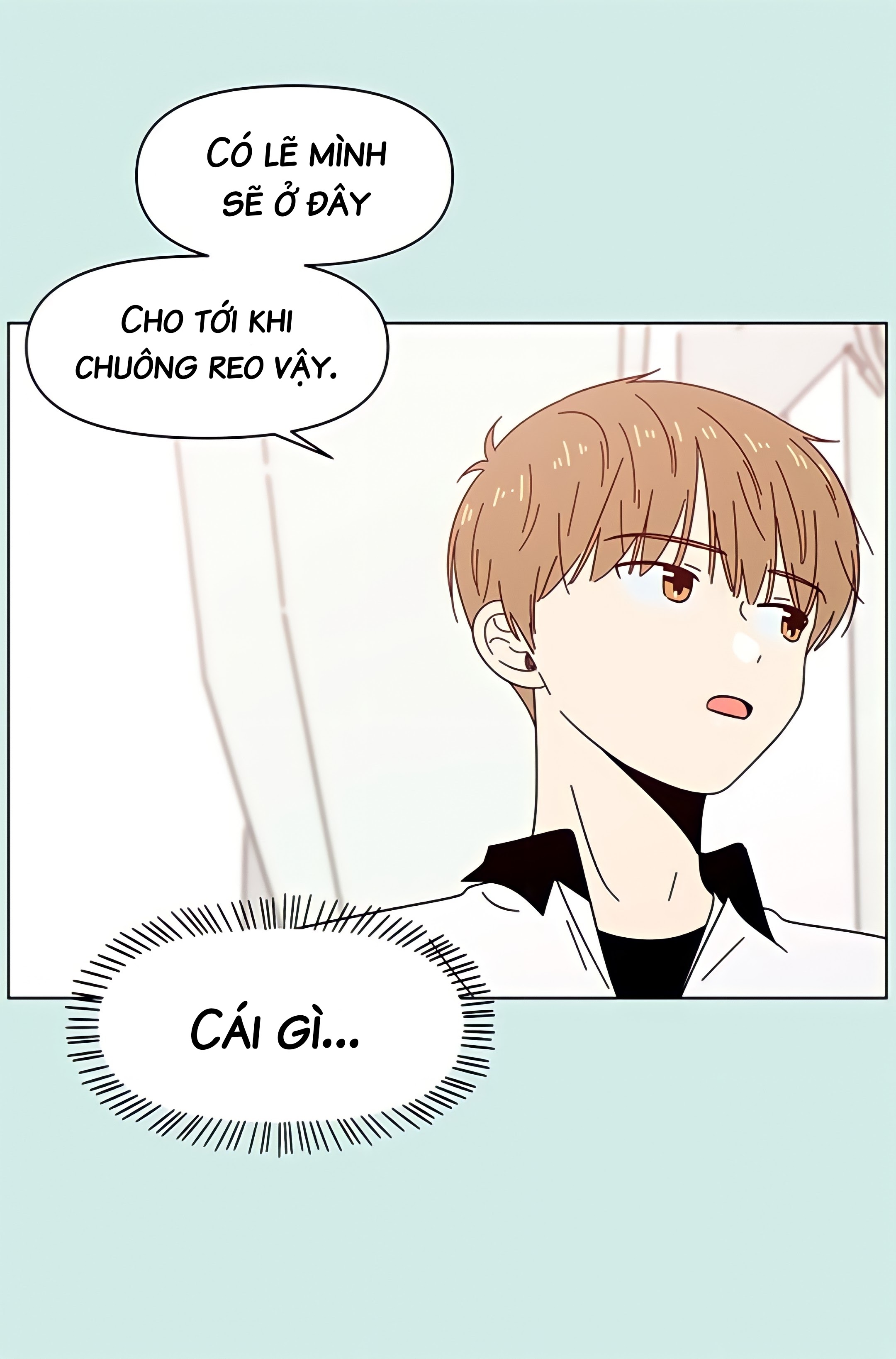 thanh xuân rực rỡ - season of blossom chapter 33 42