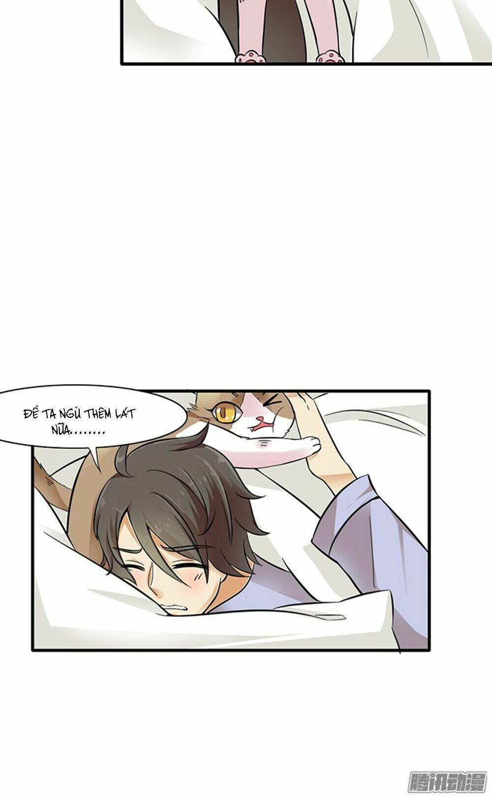 hai chú mèo totem chapter 10 9