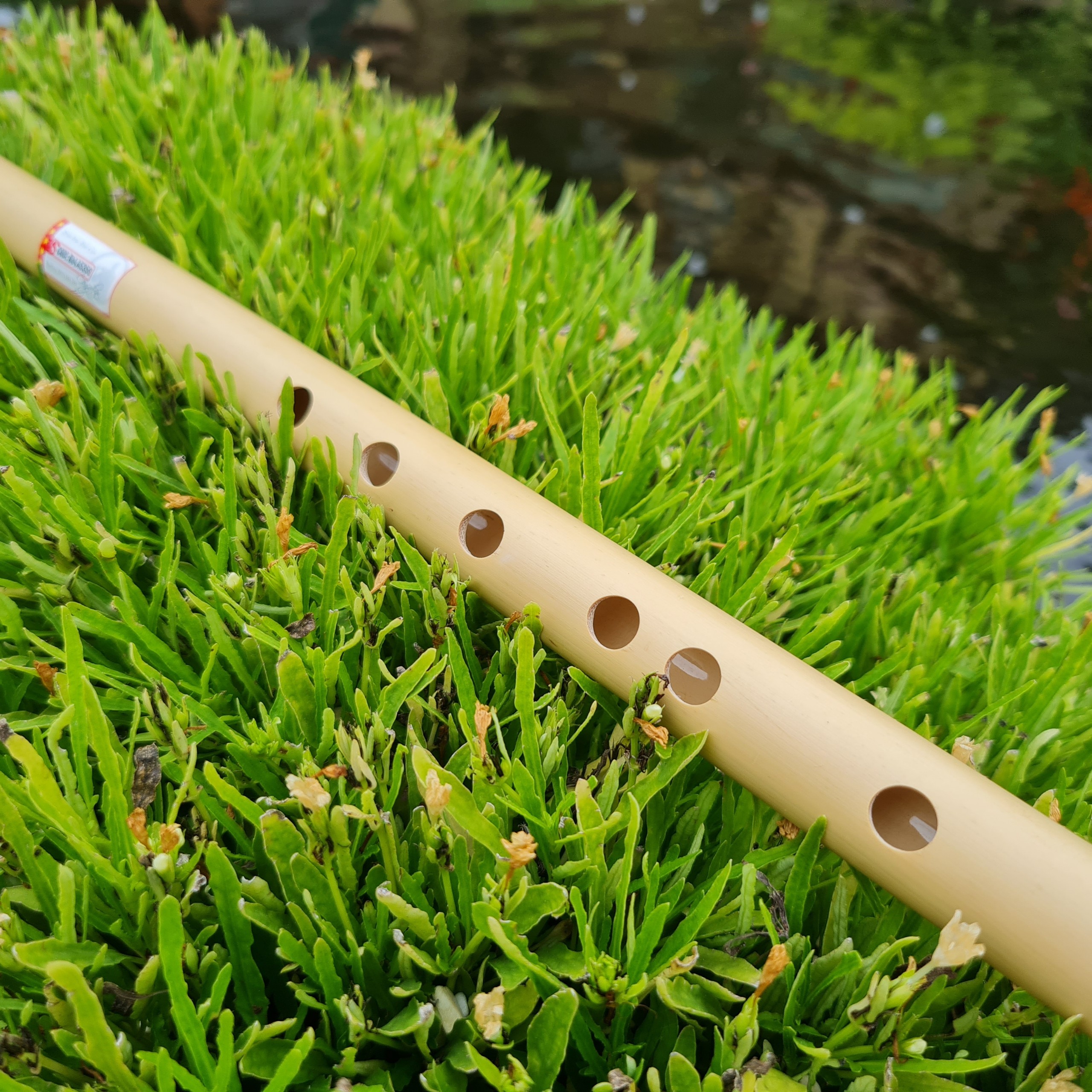 Sáo Trúc VS5 Tone Si Giáng Nứa Nam - Sáo Trúc Bùi Gia
