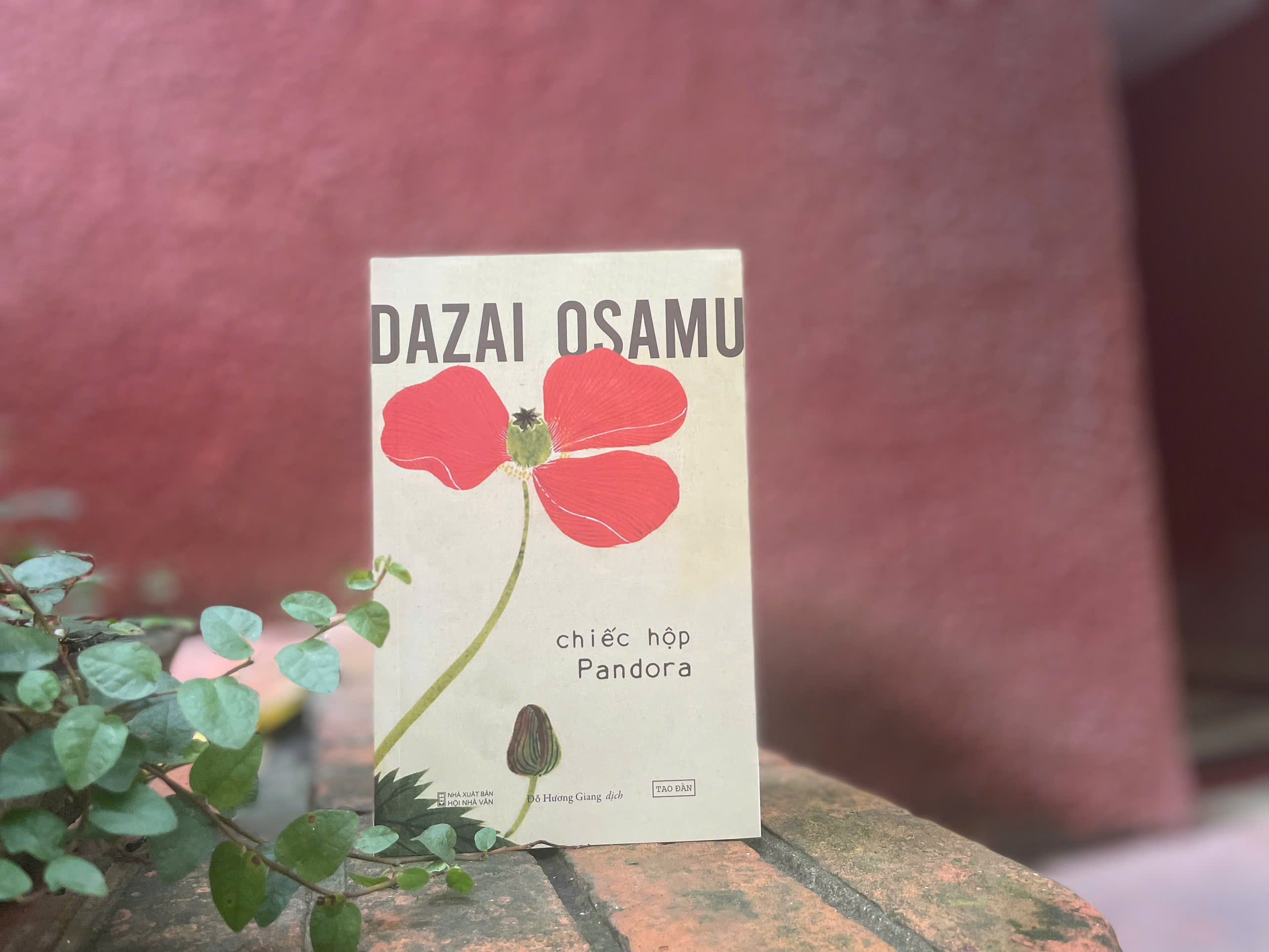 [Sách] Chiếc Hộp Pandora (TB 2024) - Dazai Osamu - Sách Tao Đàn