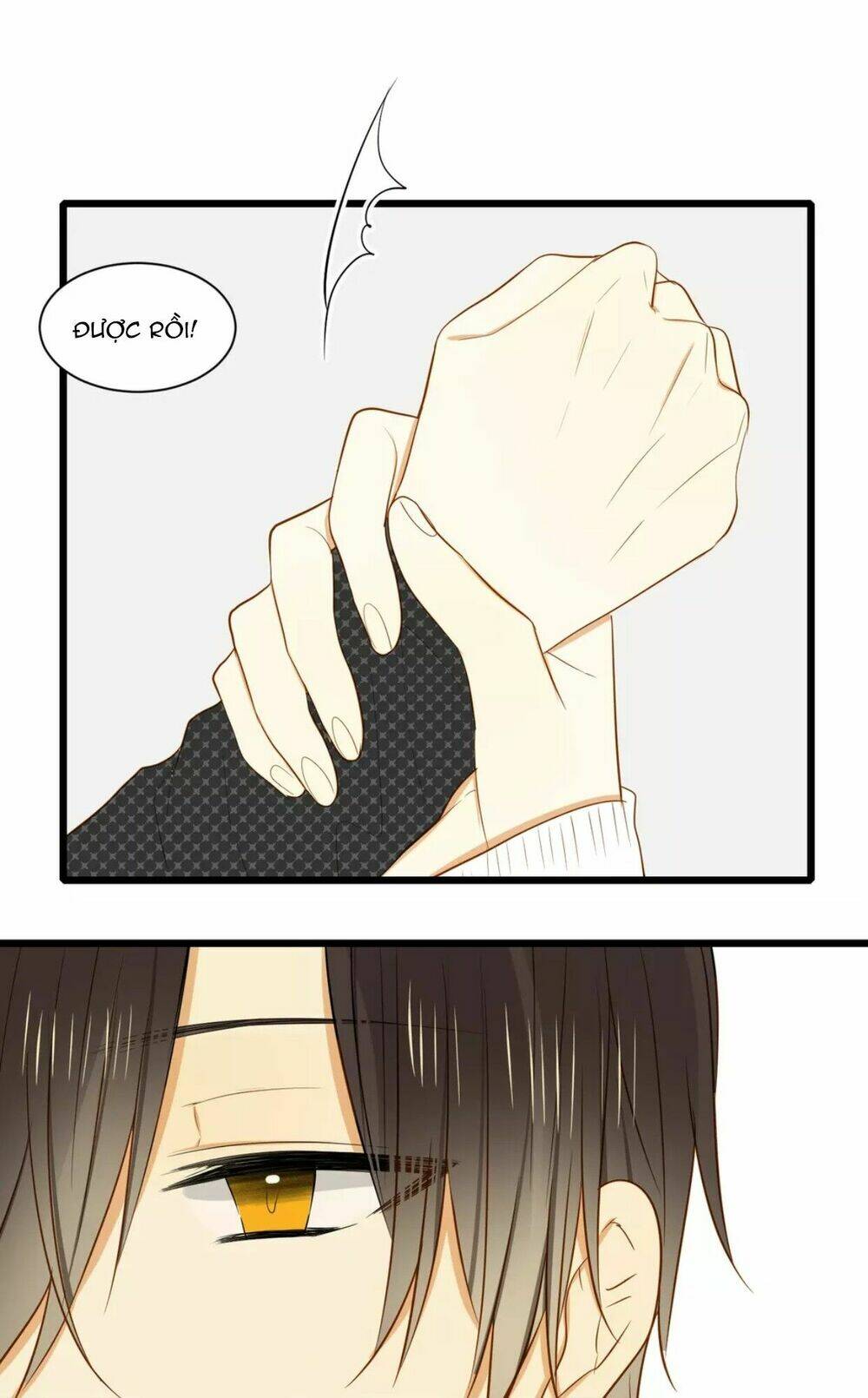 điều giáo quan hệ chapter 15 22