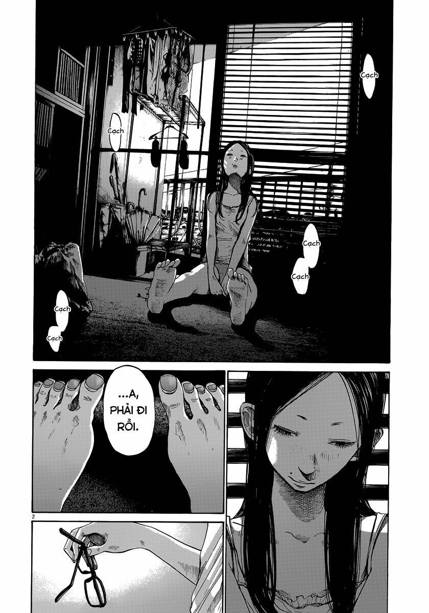 chúc ngủ ngon, punpun chapter 101 3