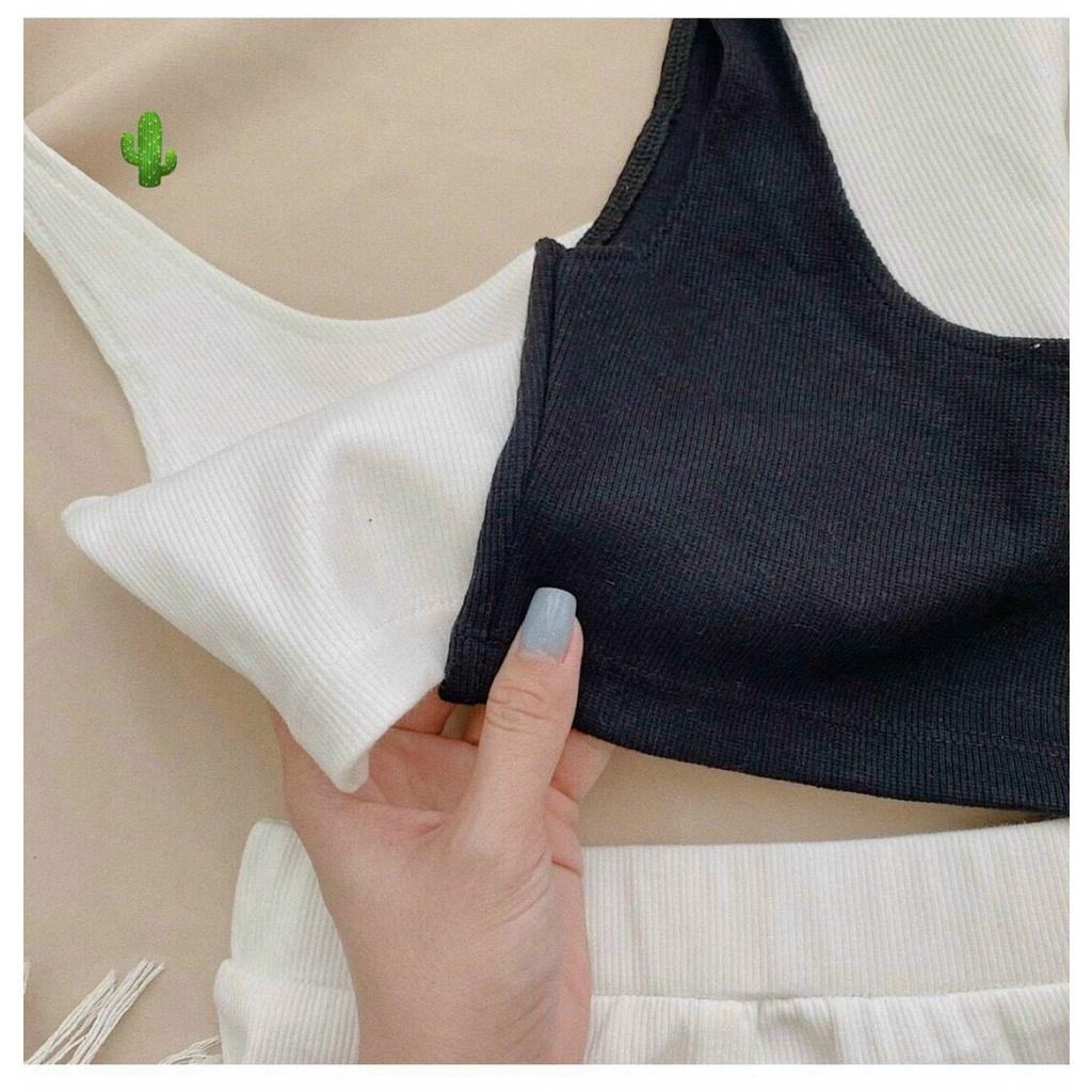 Đồ bộ nữ - set áo + quần lưng cao xịn xò