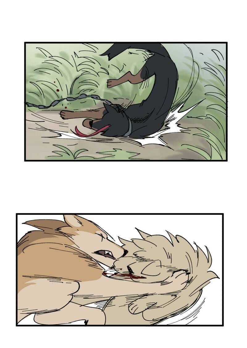 lumine - cội nguồn ánh sáng chapter 151 5