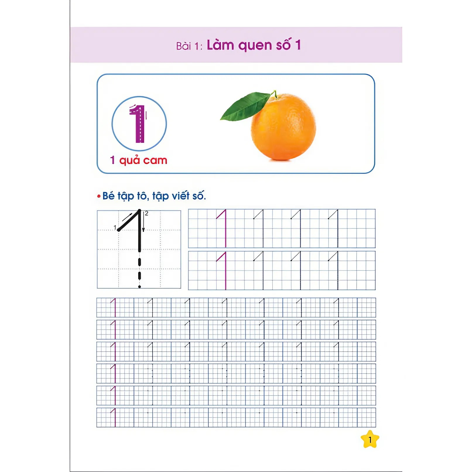 Sách - Combo 5 Cuốn Tập tô chữ, Tô chữ hoa,tập tô nét cơ bản, tập tô số (chuẩn bị cho bé vào lớp 1) - ndbooks