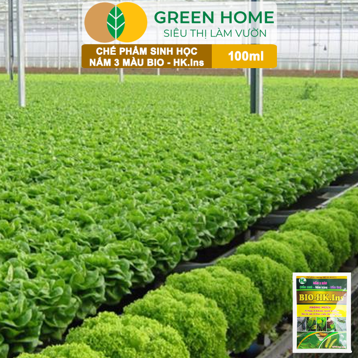 Phân Bón Vi Sinh Nấm 3 Màu GreenHome, Hoàng Kim, Gói 100ml, Trừ Tuyến Trùng, Rệp Sáp, Sâu Vẽ Bùa