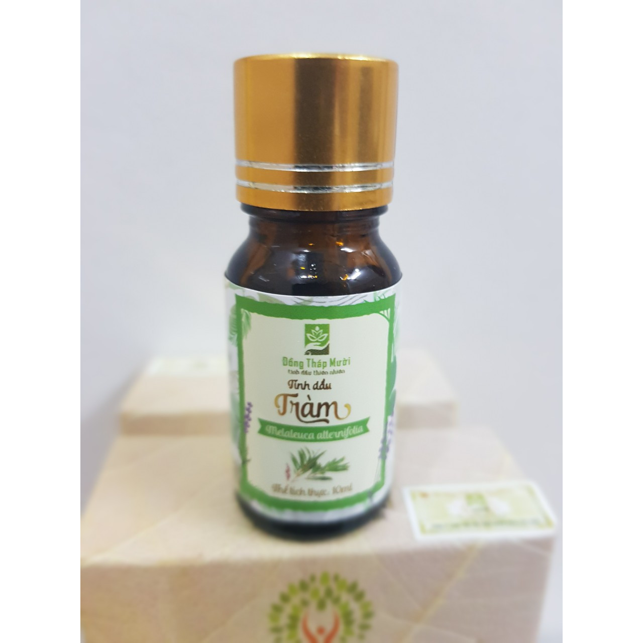 Tinh dầu tràm gió Đồng Tháp Mười chai 10ml/20ml/50ml