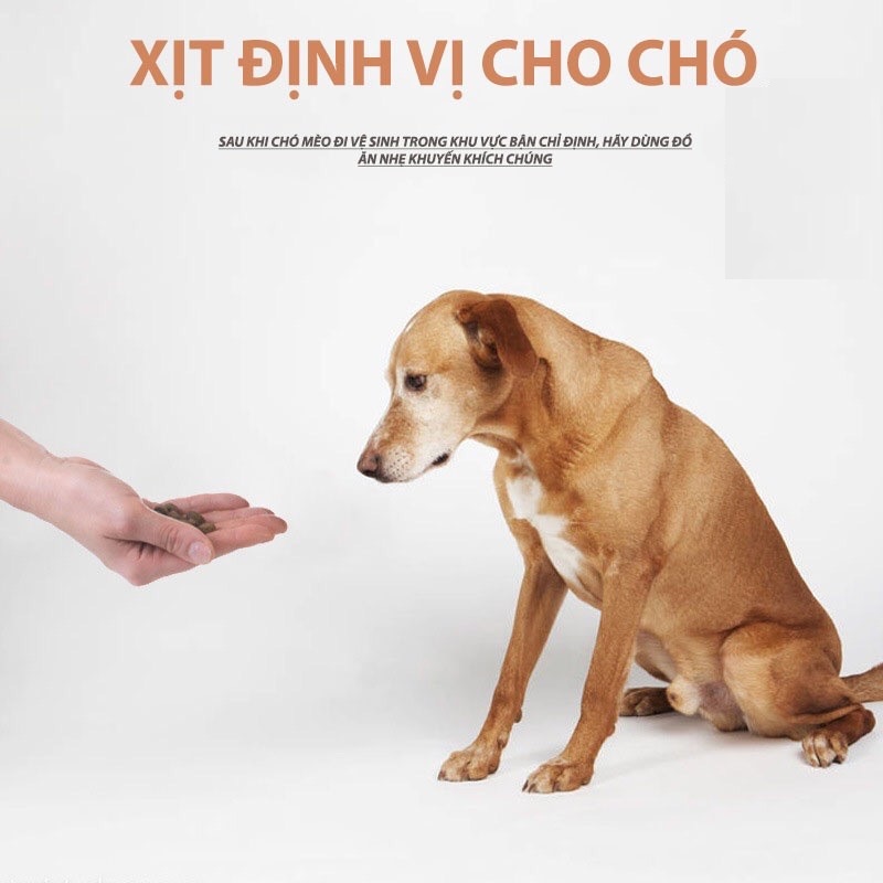 [MỚI VỀ] Dung Dịch Xịt Hướng Dẫn Chó Mèo Đi Vệ Sinh Đúng Chỗ ( 60ml )