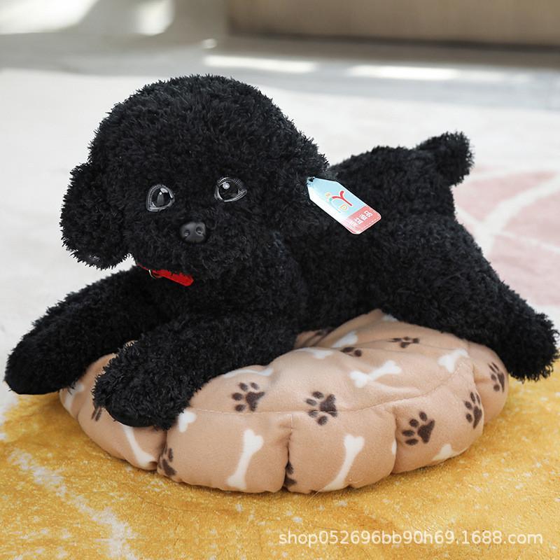 Gấu bông chó poodle nhồi bông 30cm giống thật ship HOẢ TỐC HCM cún bông lông xù dễ thương mềm mịn - Black